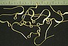 24pc RAW BRASS SCULPTED EARWIRE FINDING JEWELRY LOT E4-24