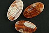 1pc 20X35mm NATURAL RARE FIRE AGATE OVAL GEMSTONE PENDANT