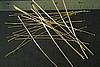 24pc RAW BRASS 3 inch 22 GAUGE HEADPIN FINDINGS LOT