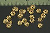 12pc VINTAGE STYLE 6mm RAW BRASS SCALLOPED FLOWER BEAD CAP BC8-12